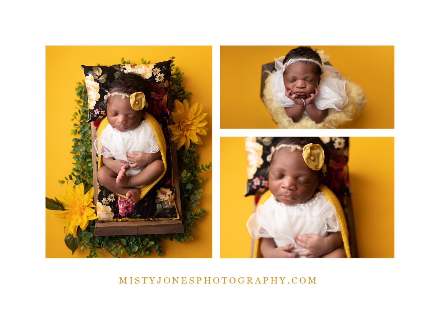 Gibsonton, FL Professional Photographer