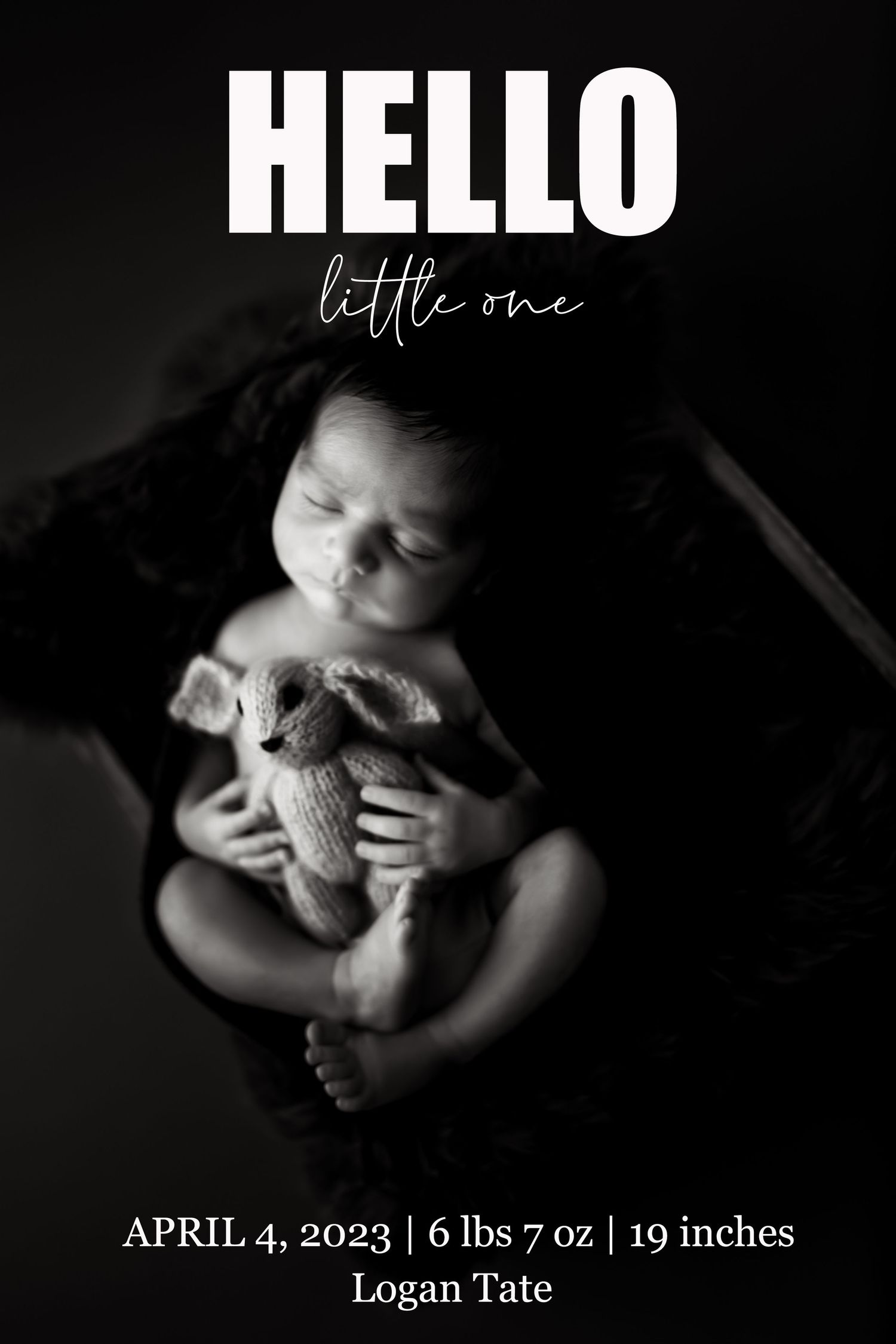Riverview, FL Professional Photographer