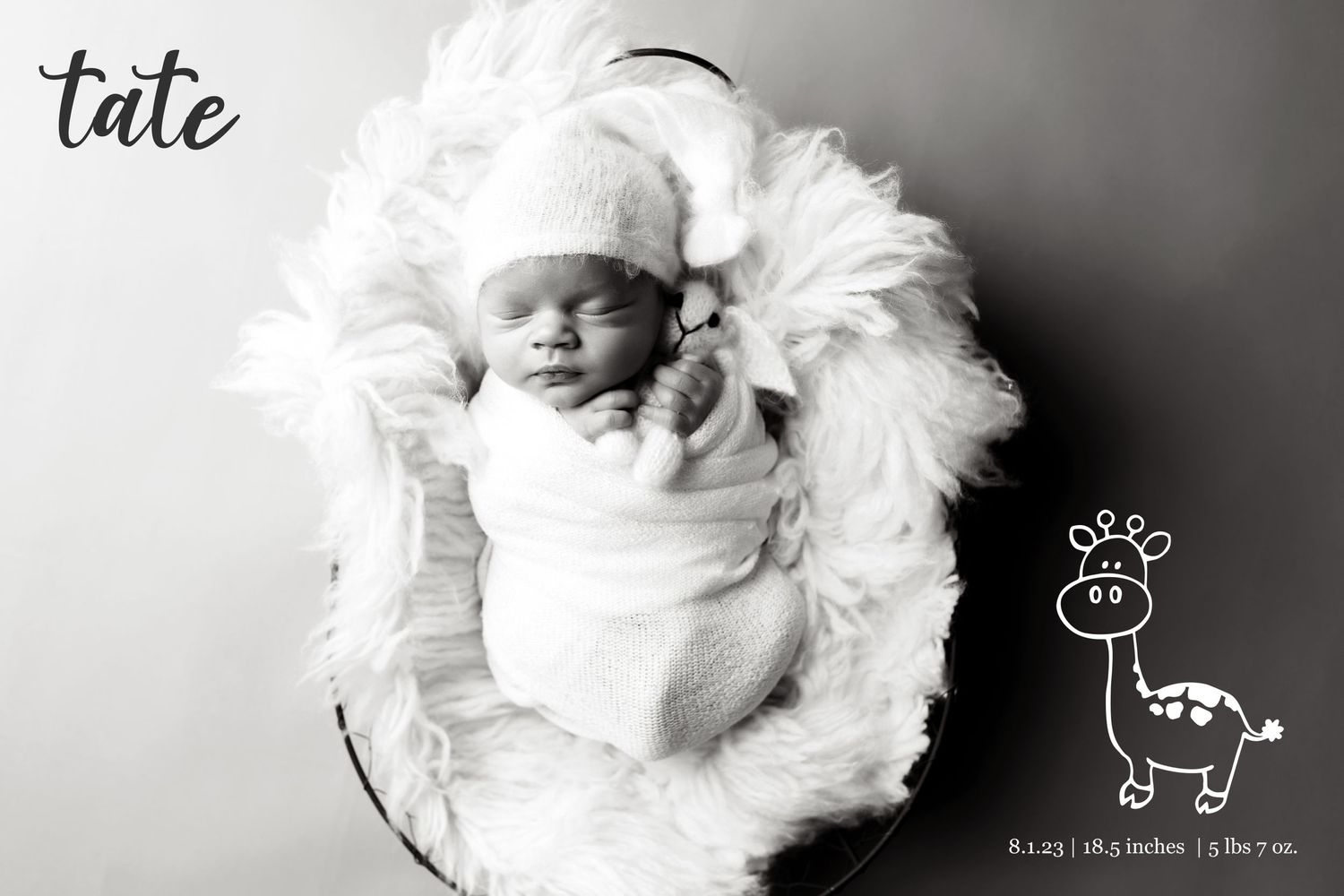 studio maternity photography