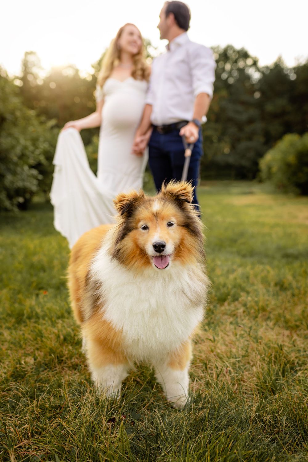 Binghamton, NY Maternity Photographer Corning, NY Maternity Photographer Waverly, NY Maternity Photographer