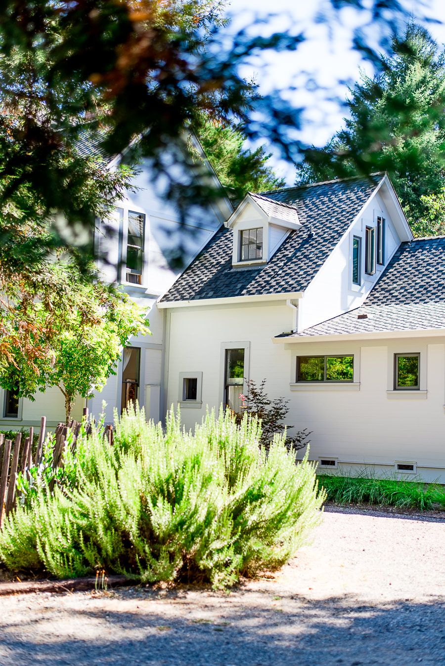 white house in the woods in Northern California