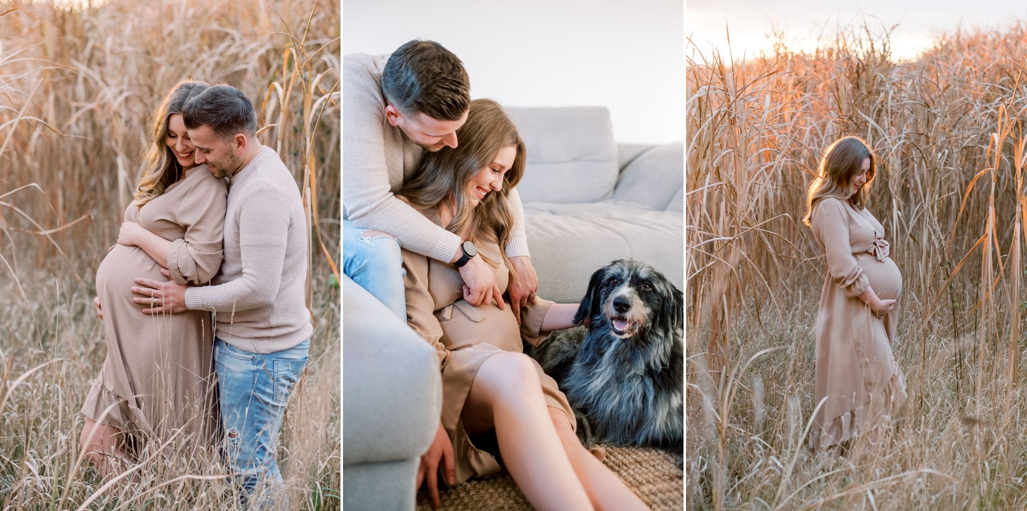 Babybauch Fotos zur Schwangerschaft zuhause mit Hund und Outdoor mit Partner im Feld bei Sonnenuntergang