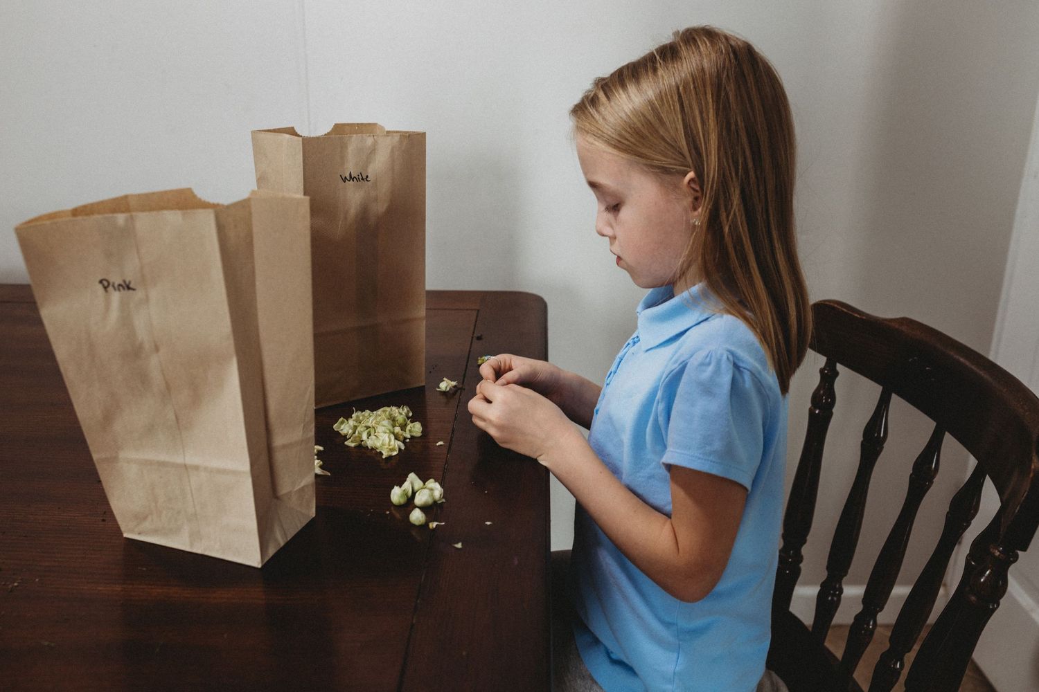 Young girl working at a table sorting seeds