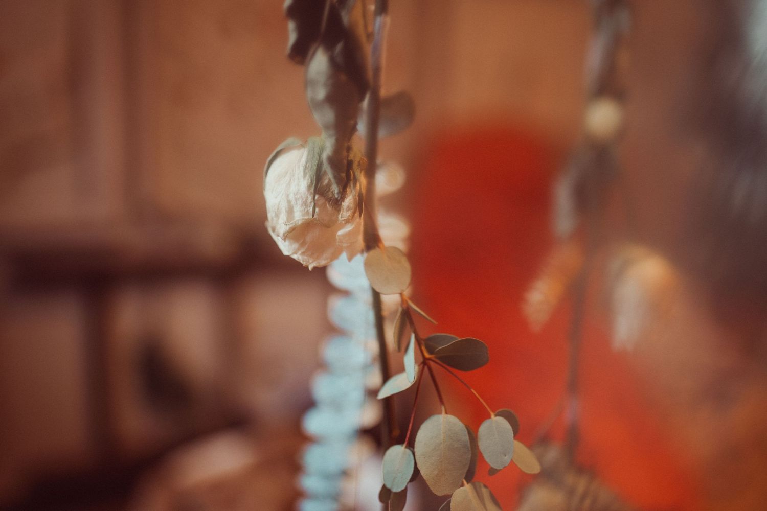 Soft focus of hanging dried flowers against blurred warm background.