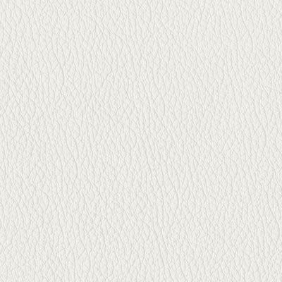 Snow White original leather album colour swatch