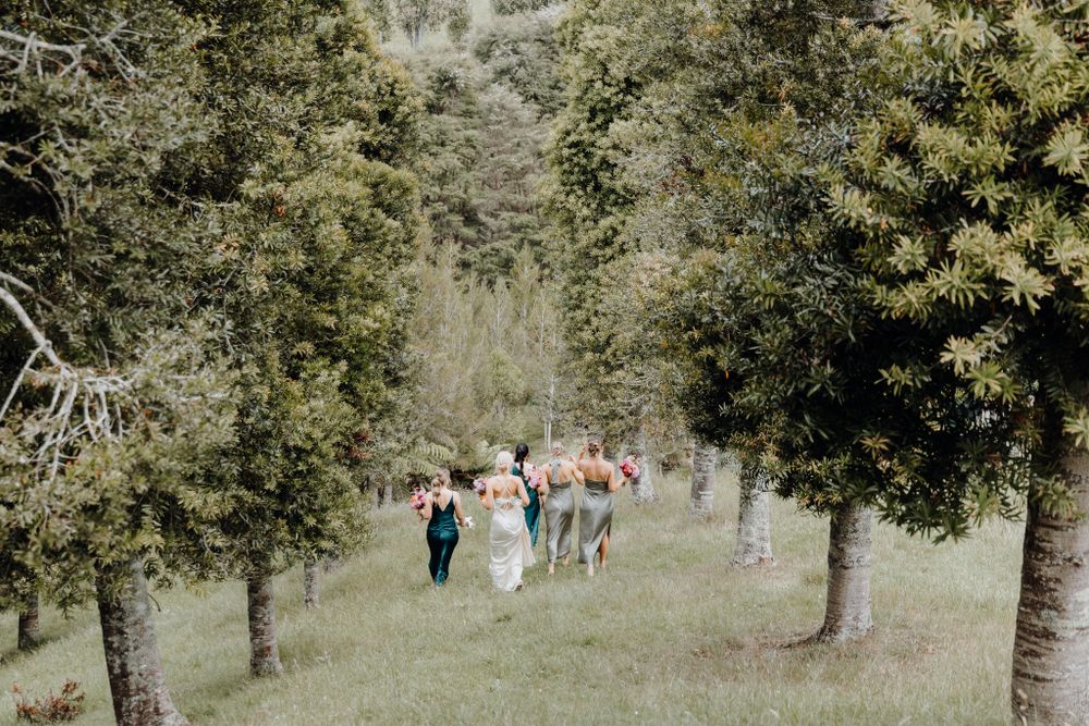 Wedding party walks down a tree-lined path during an outdoor ceremony.