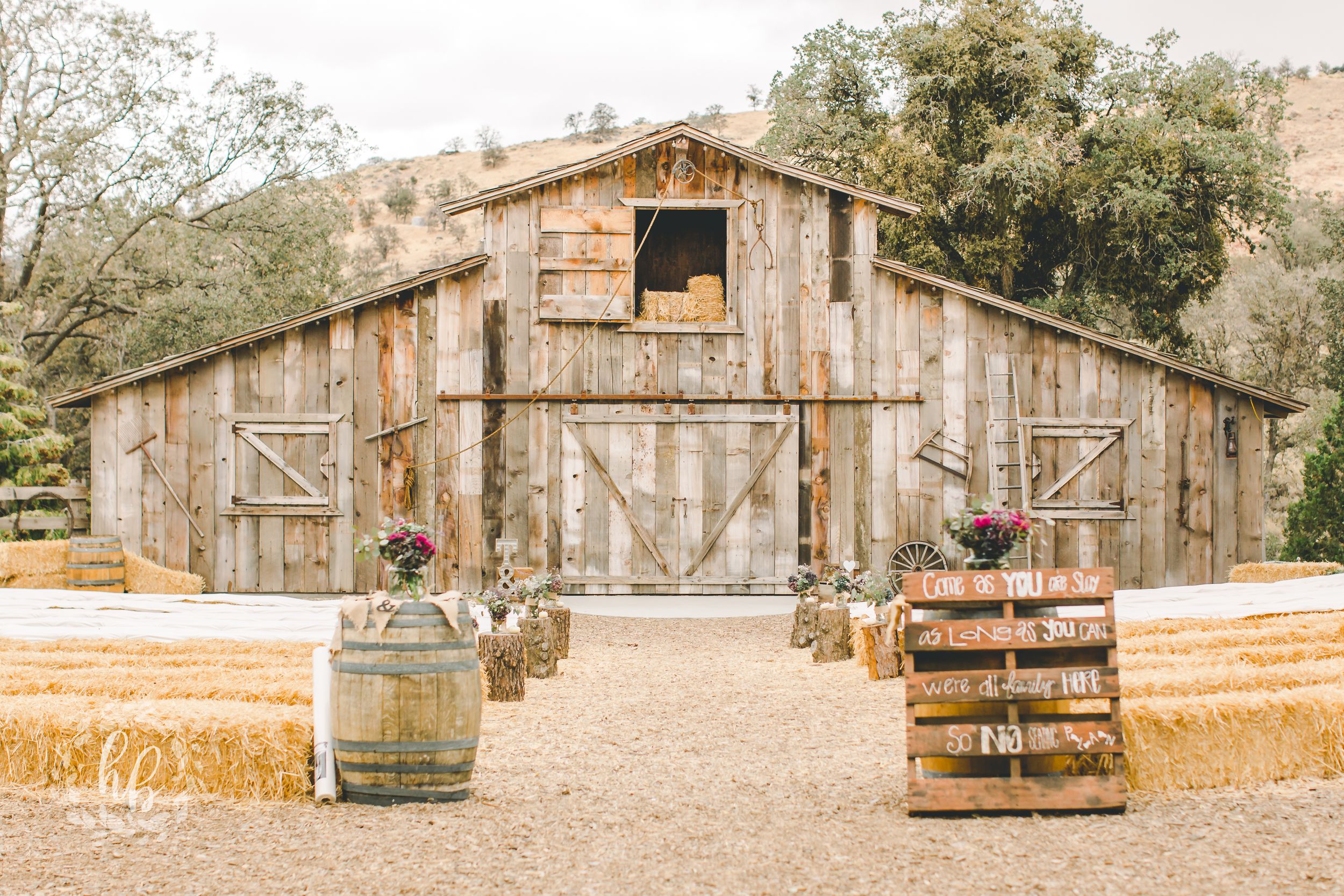 Dorner Family Vineyard Fall Wedding Los Angeles Wedding Photographer