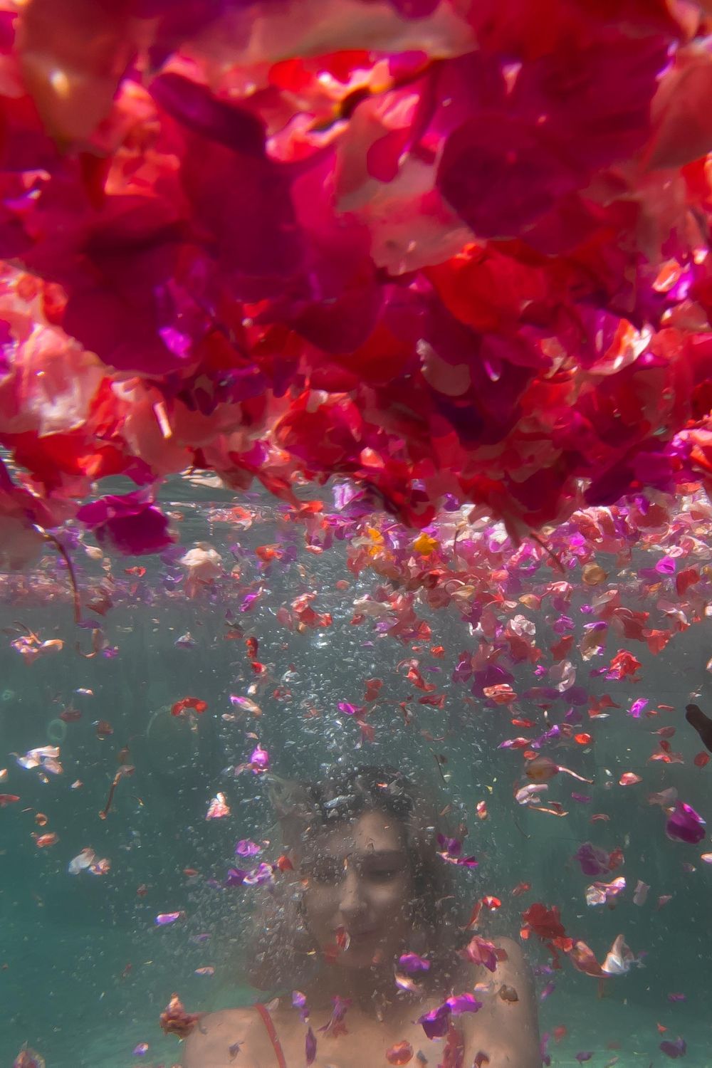 girl sits beneath a sea of floating petals underwater