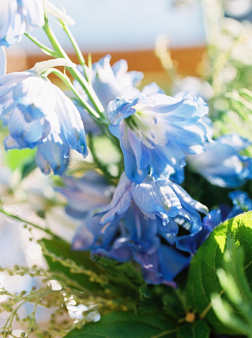 Blue flowers in a vase on a table, adding a touch of elegance and vibrancy to the room's decor.