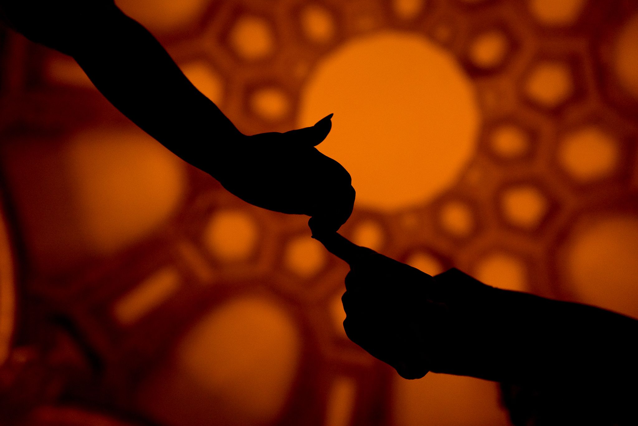 silhouette of two hands interlocking under roof of Palace of Fine Arts at night time