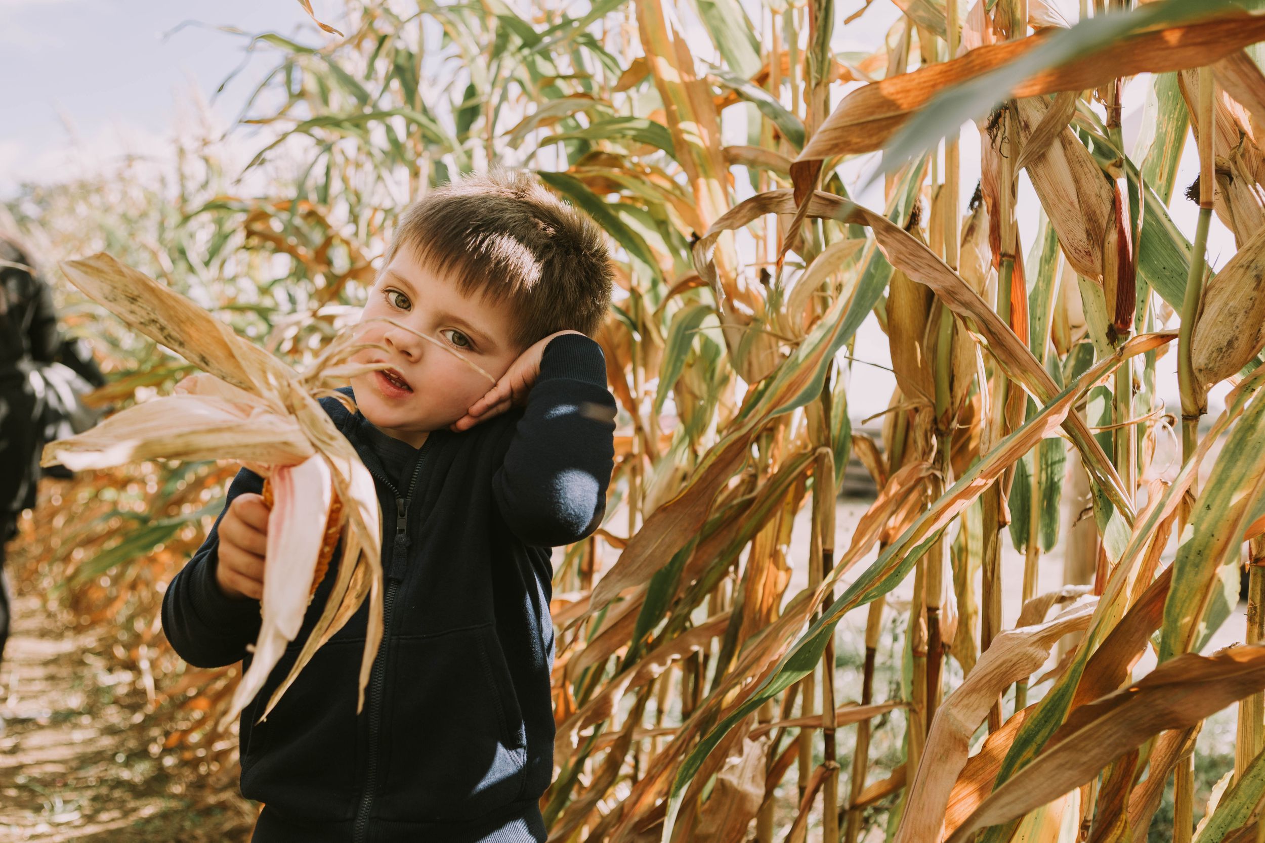 little boy in corn maze foxes farm produce Brentwood