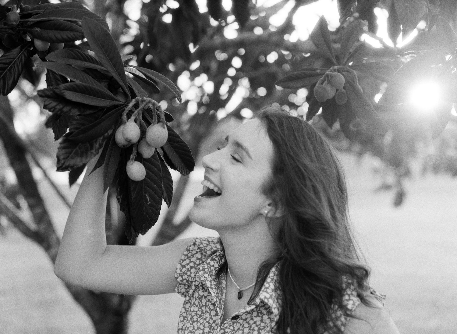 Louisiana senior portrait photography of a Franklinton High School student picking cumquats