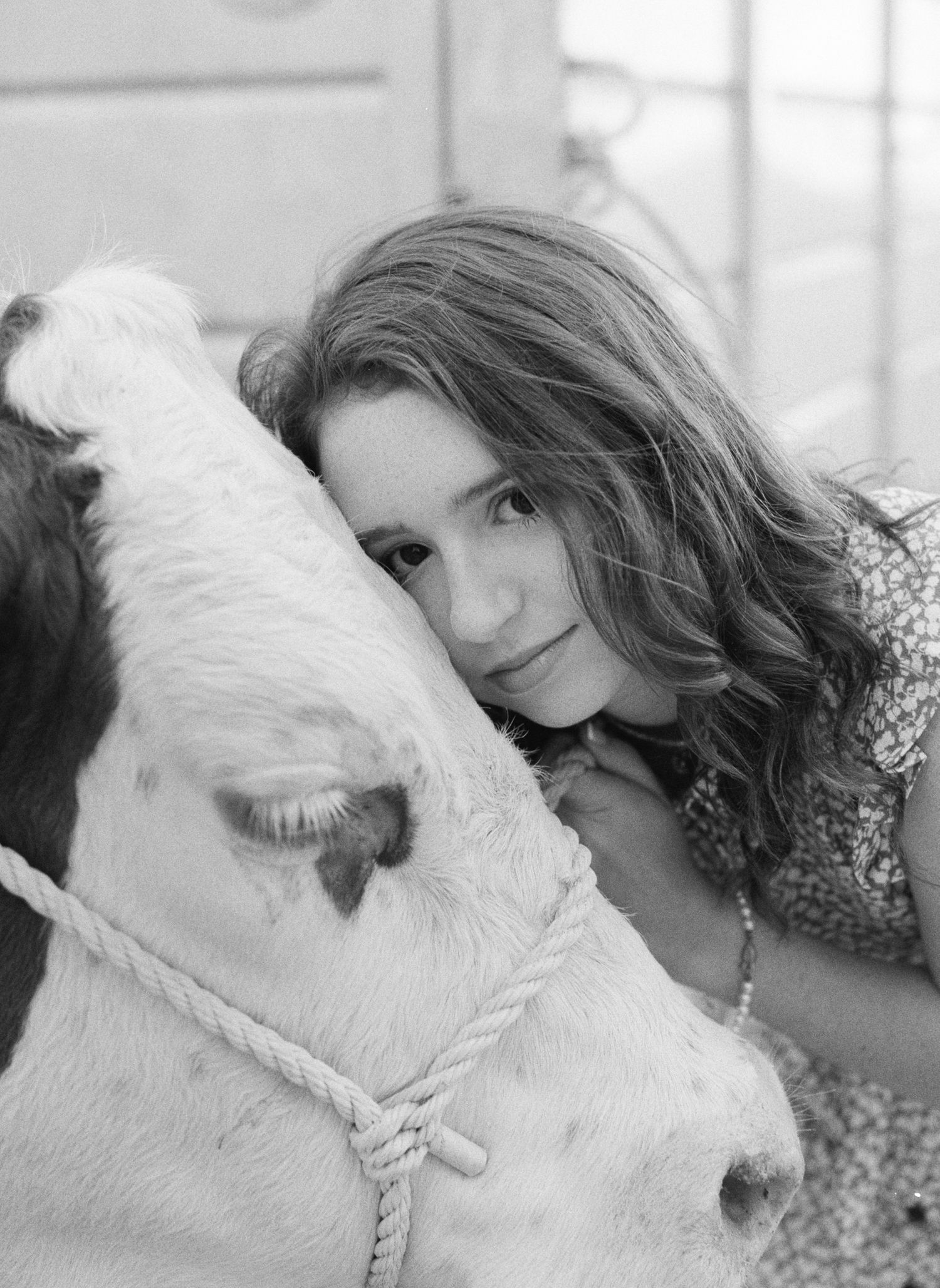Louisiana senior portrait photography of a Franklinton High School student working her cattle.