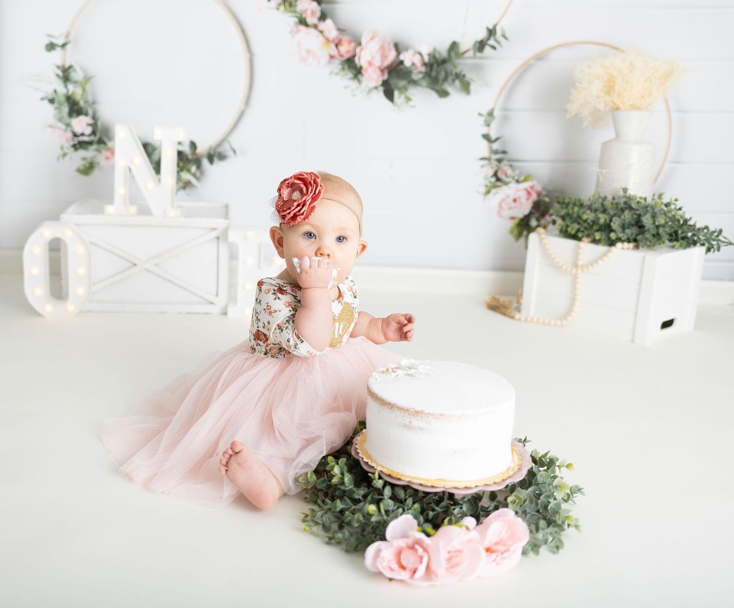 Cakesmash photographer, Pewaukee, Waukesha, Hartland, Milwaukee, Sussex, WI
