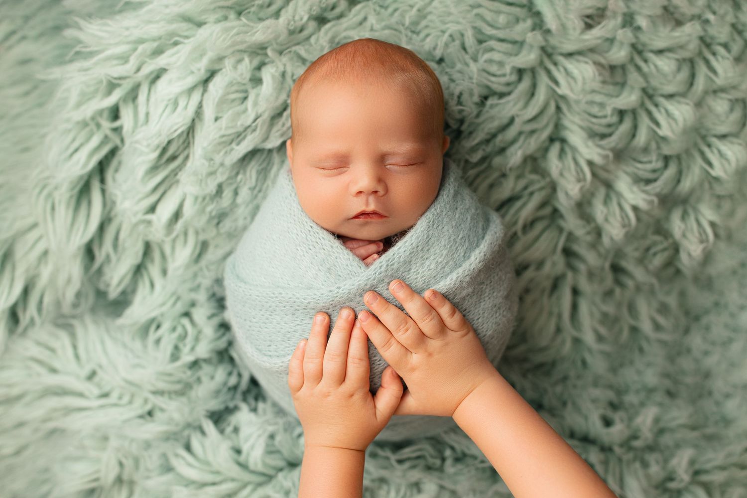 carmel newborn photogapher