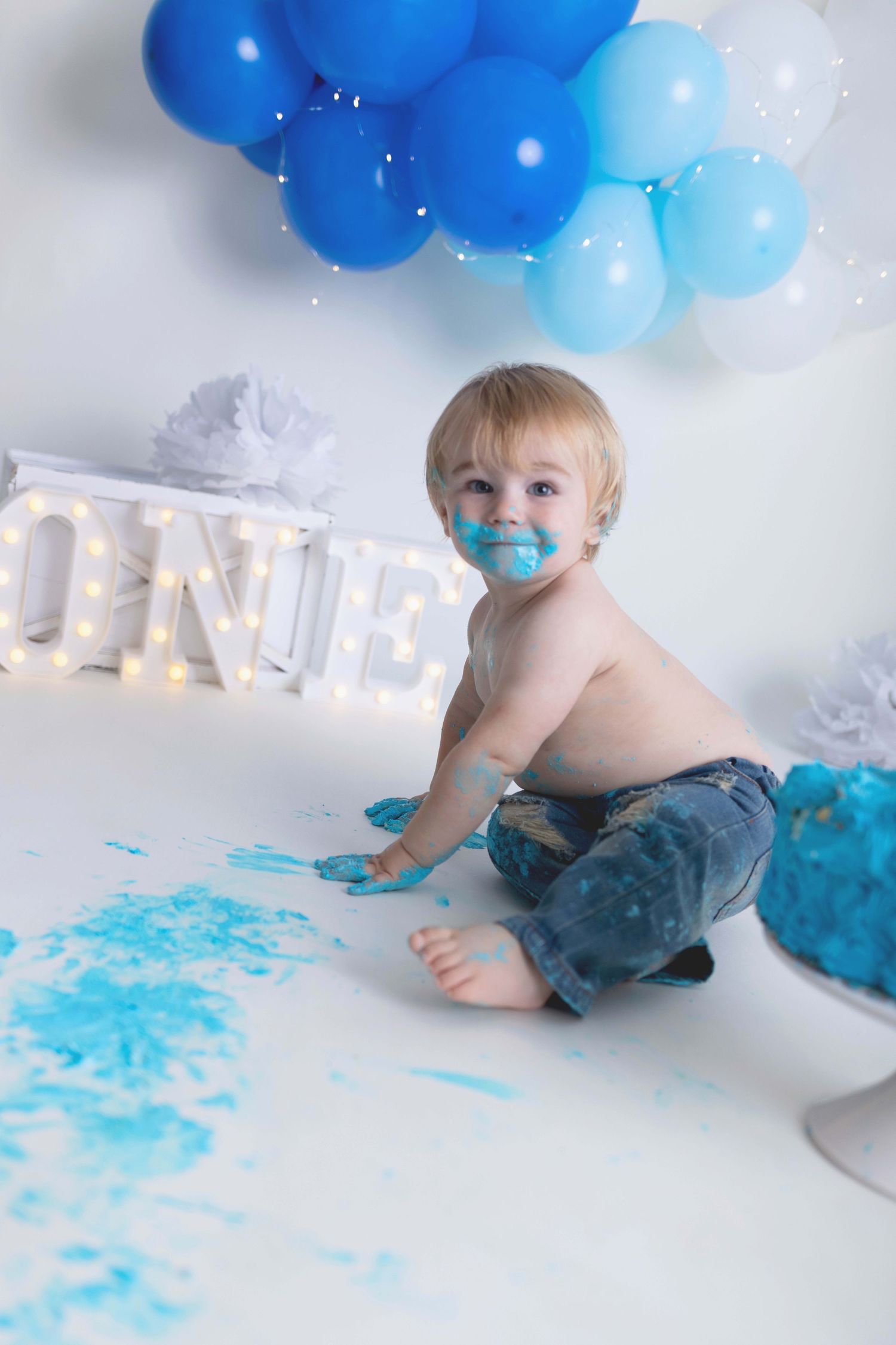 Cakesmash Photographer, Waukesha, Hartland, Milwaukee, Sussex, WI