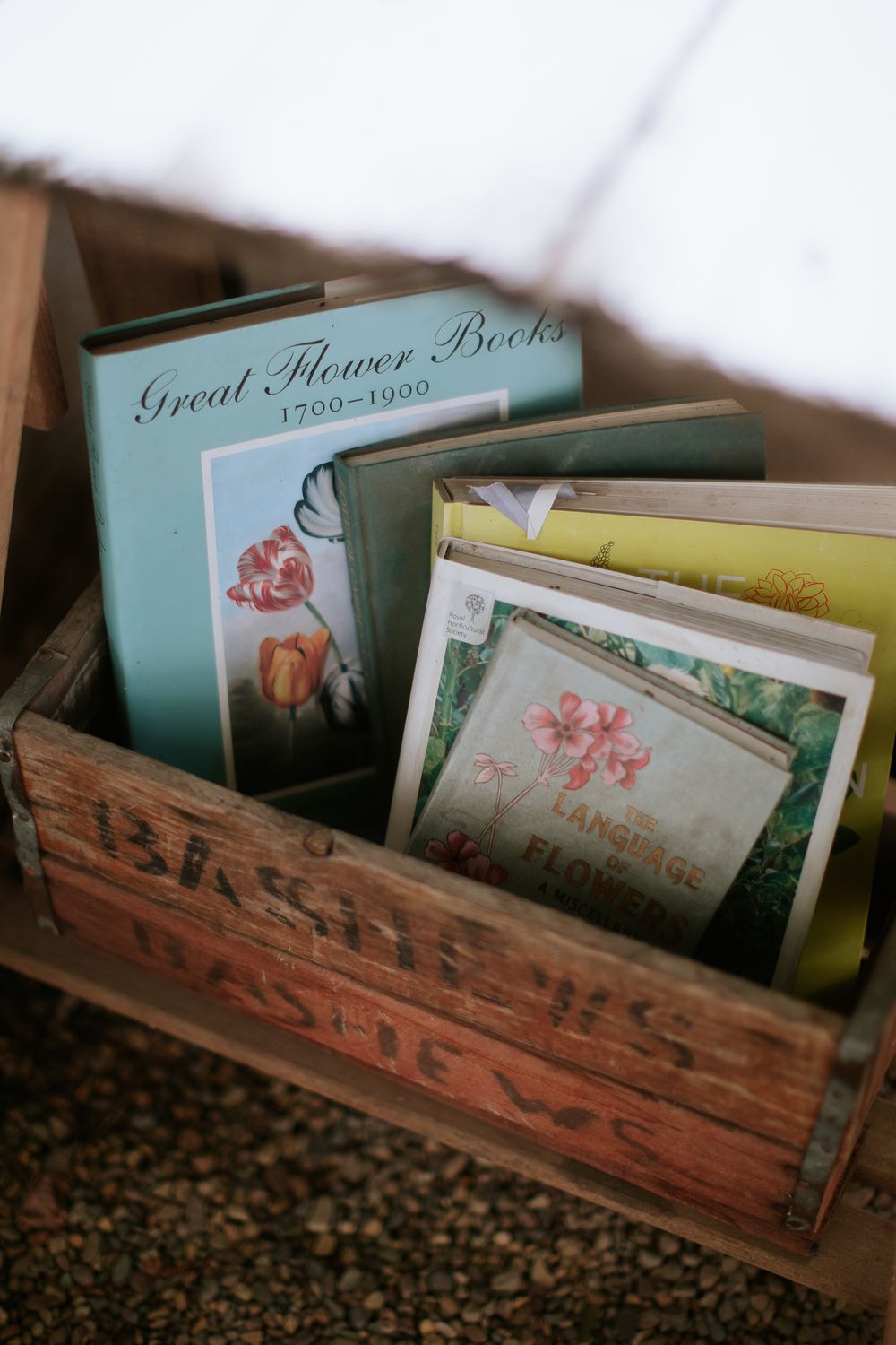 Vintage books collected in an old apple crate on the floor of a greenhouse