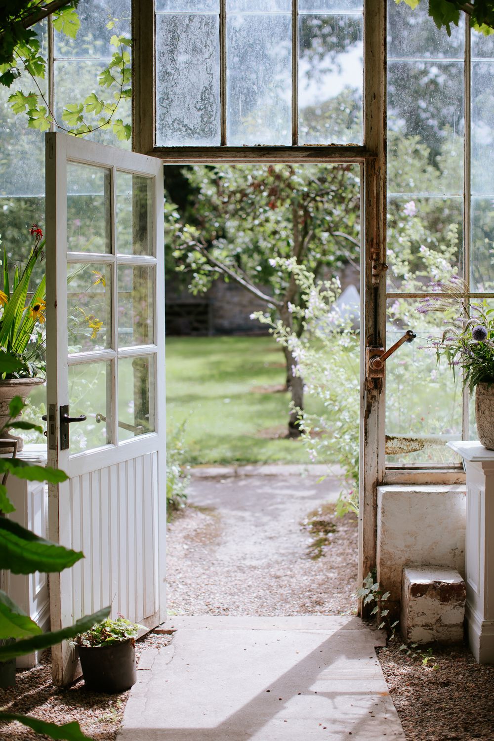 An open doorway of a greenhouse, leading into an orchard