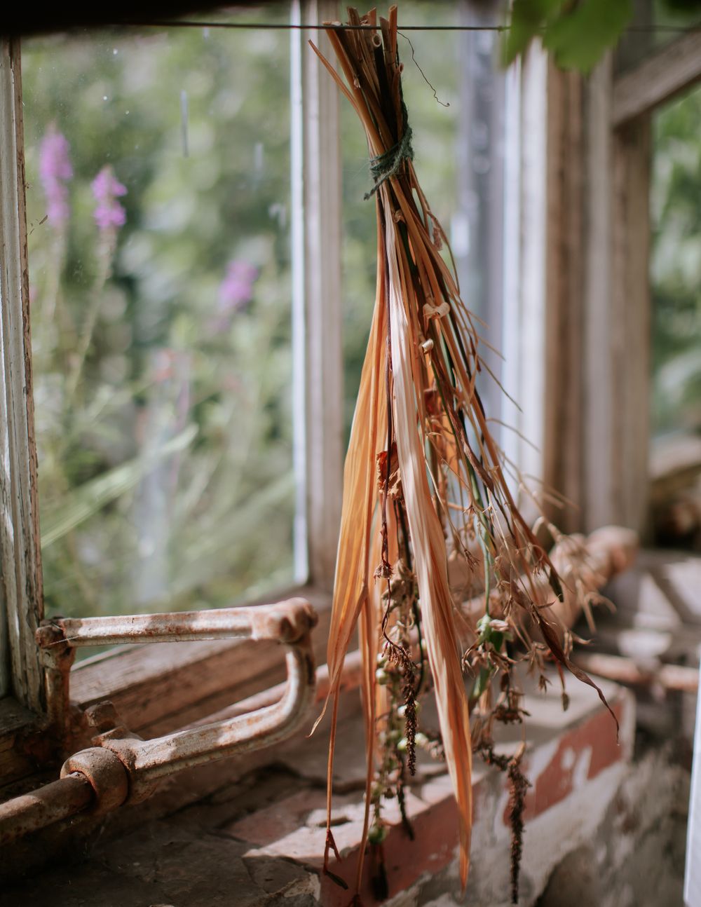 Dried flowers and grasses hang in the window of a greenhouse