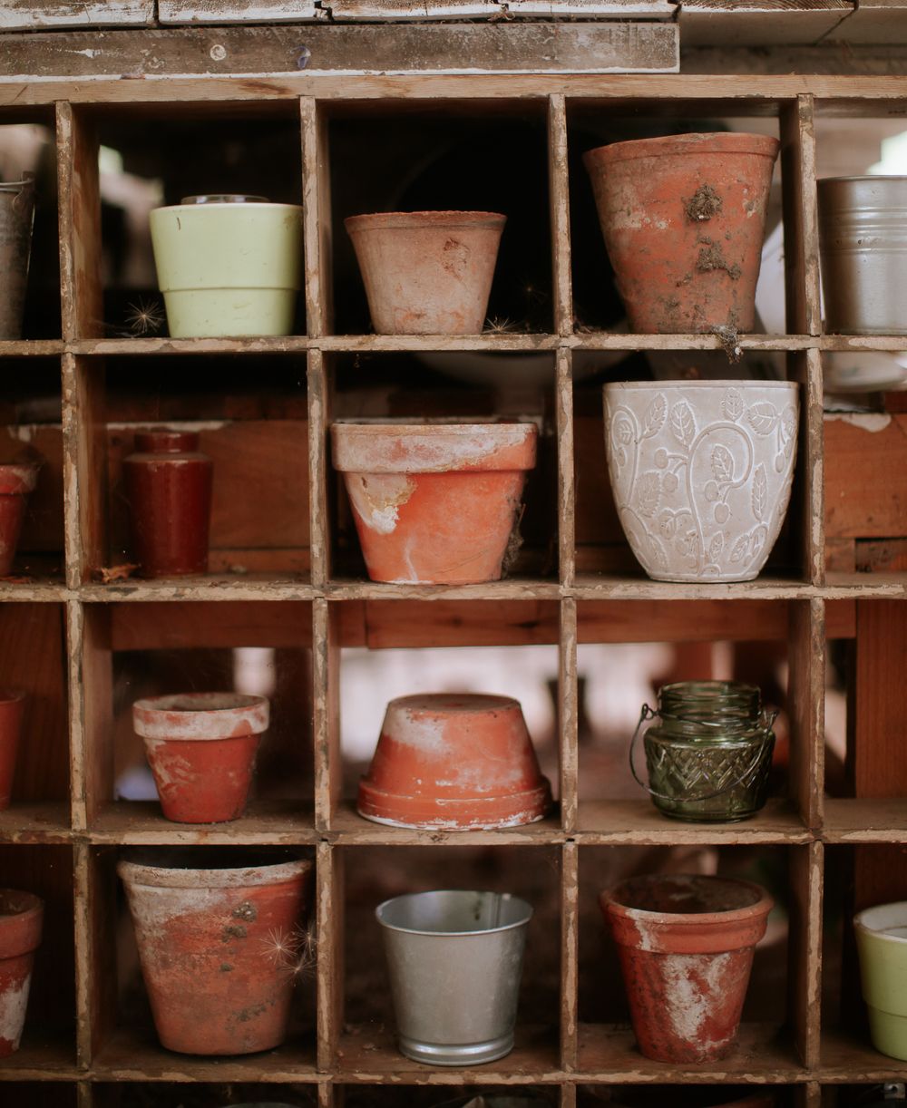 A collection of vintage plant pots on shelves inside a greenhouse
