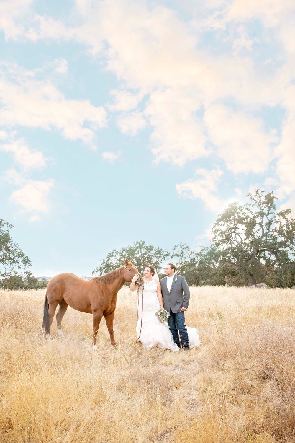 Bride and groom in a field with a horse