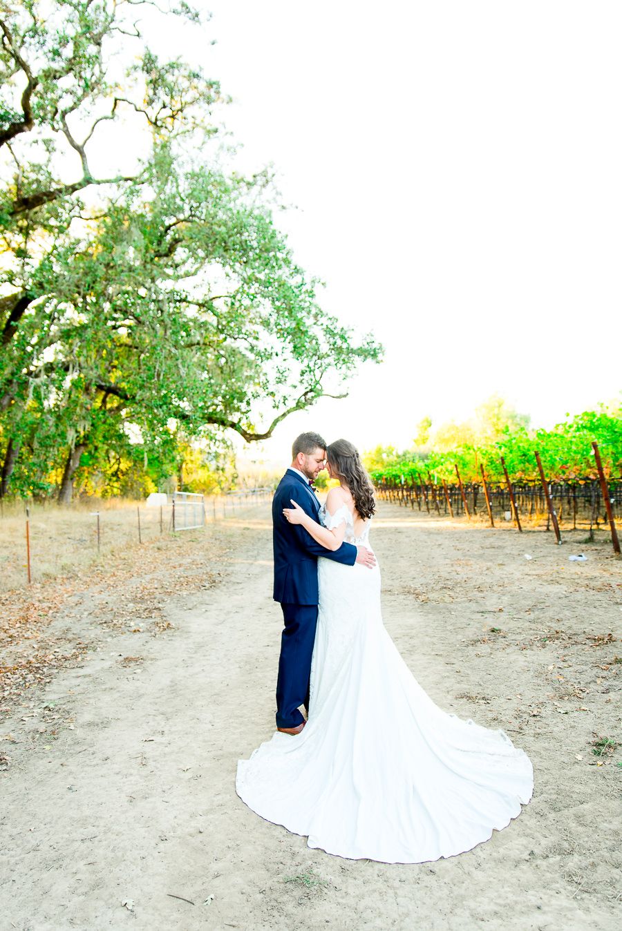 groom in navy suit and bride in dress with long train stand together in the vineyard at Pennyroyal Farm