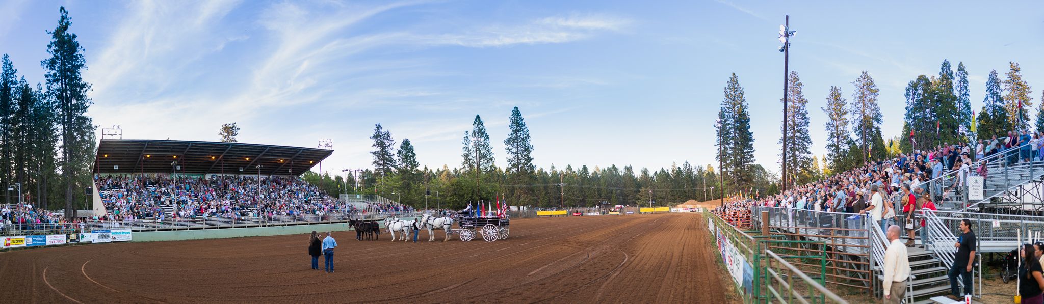 Draft Horse Classic | Lenkaland Photography at the Nevada County Fairgrounds in Grass Valley, California