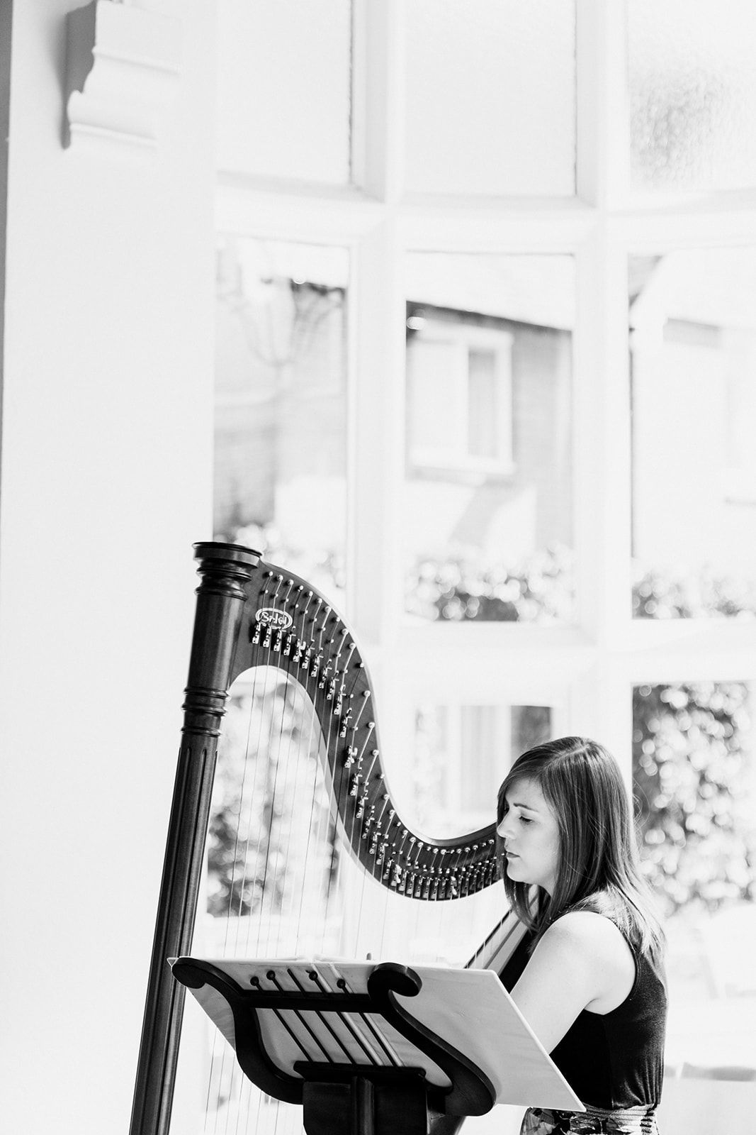 liane hopkins wedding harpist