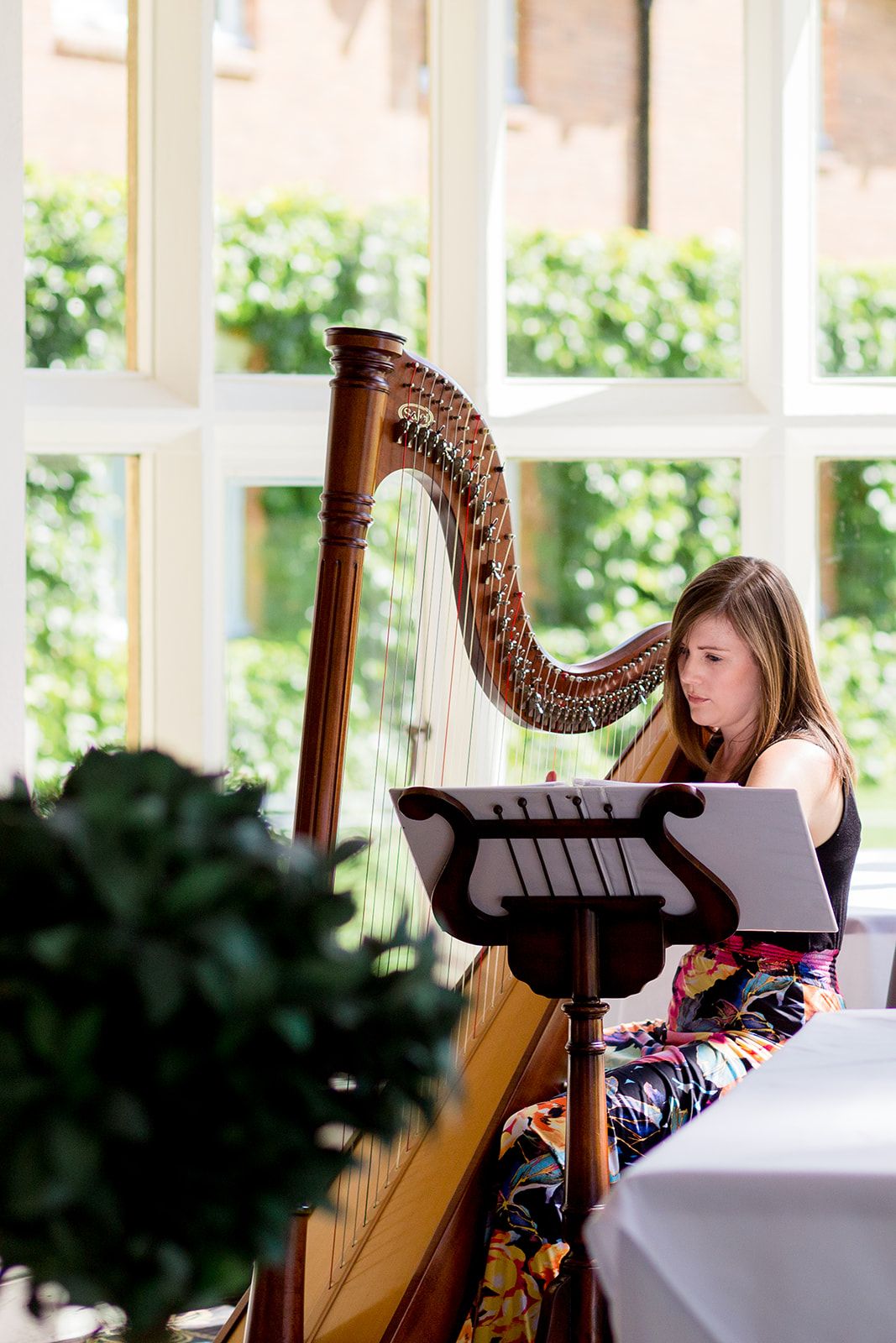 Hampshire harpist at weddings