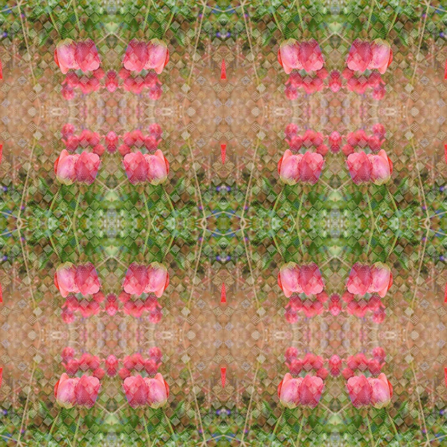 tulips flowers green poink floral abstract