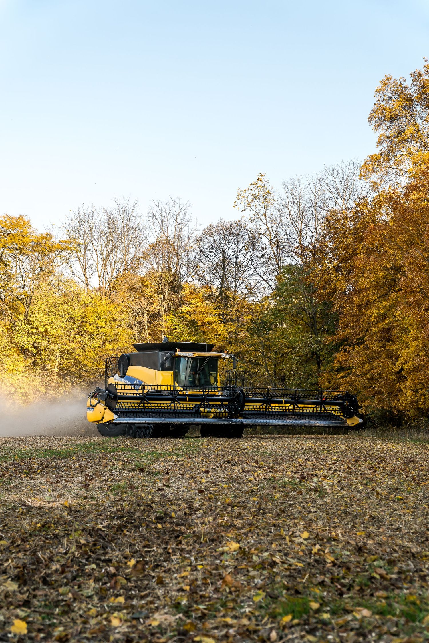 New Holland combine harvester working in a field surrounded by autumn trees.