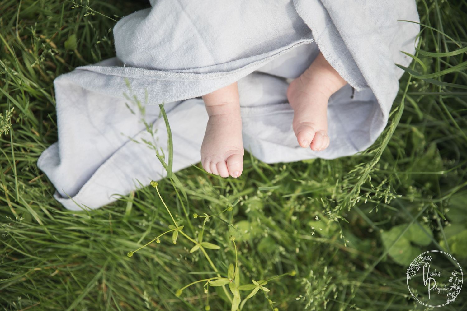 Dixon IL, Newborn Photographer