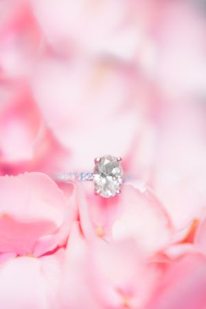 oval white gold engagement ring on pink hydrangeas