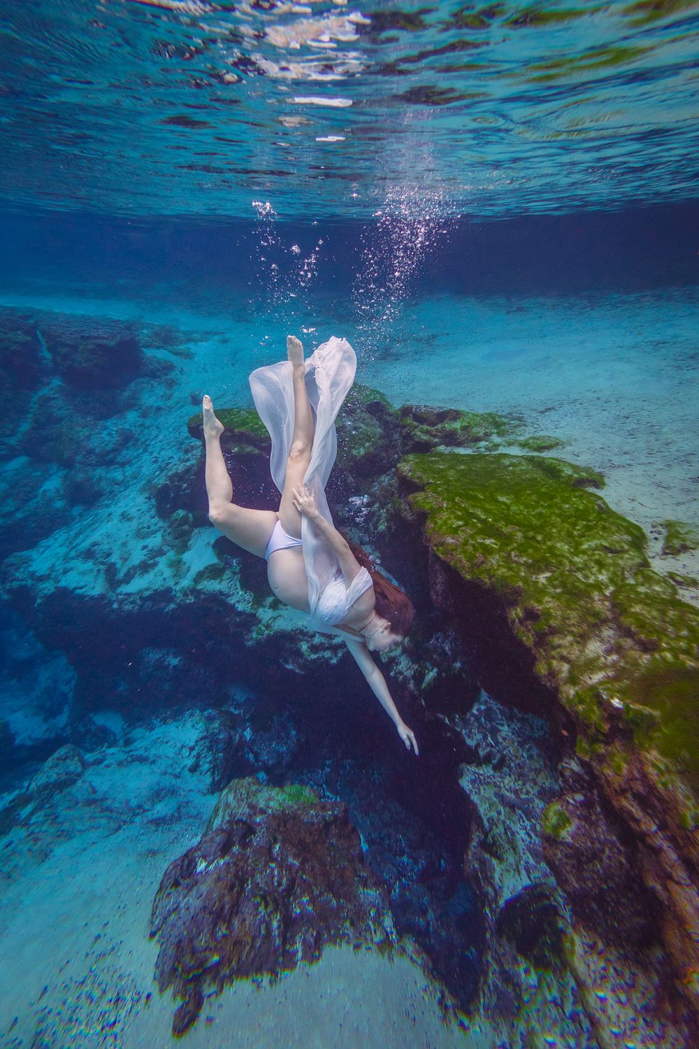 underwater photographer jacksonville florida