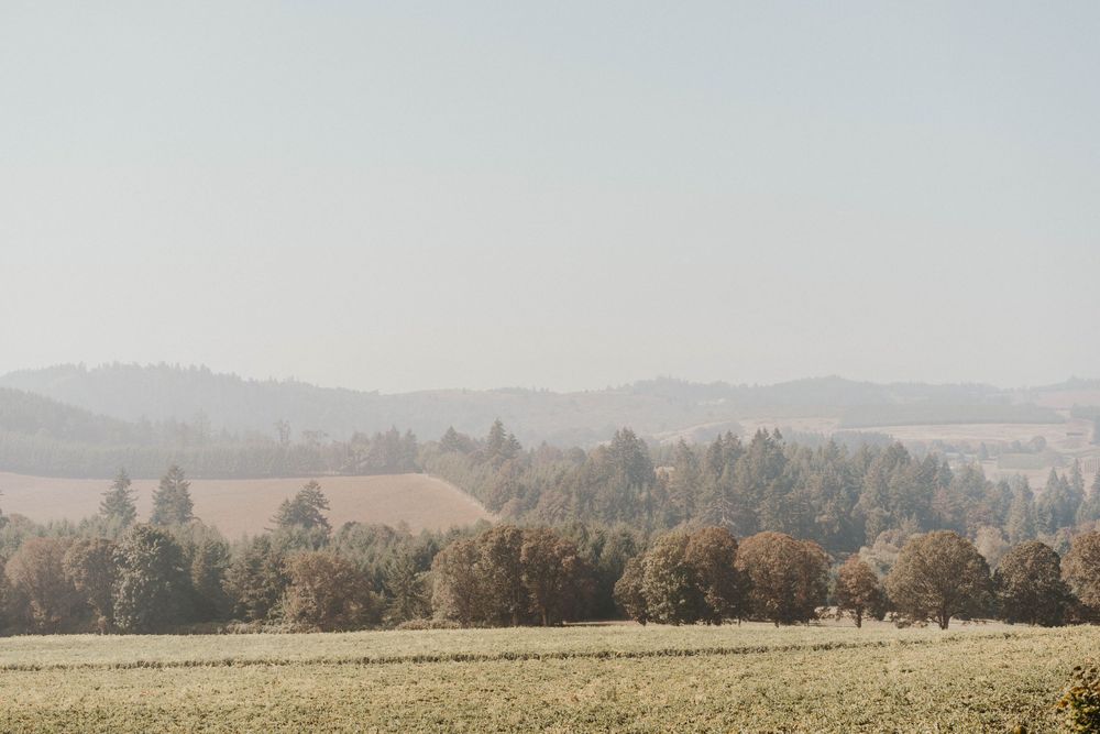 View from Willamette Valley Winery