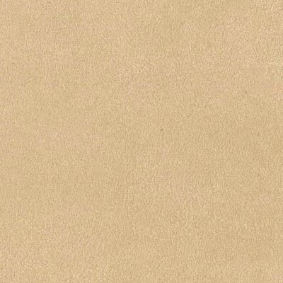sand suede album colour swatch