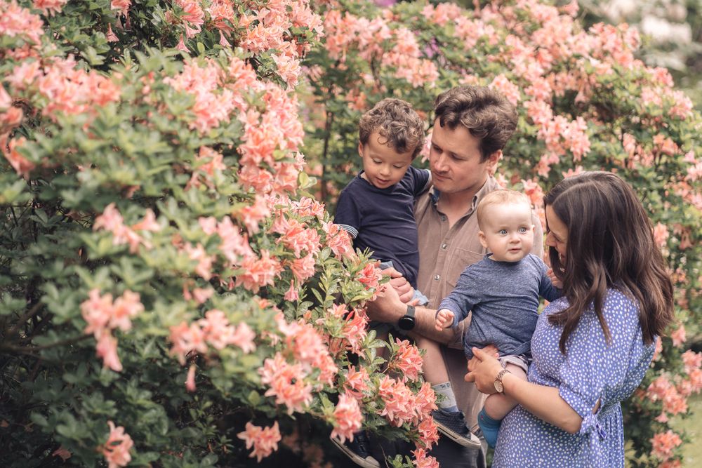 mum and dad with sons looking at the pink flowers at evenley woods northamptonshire