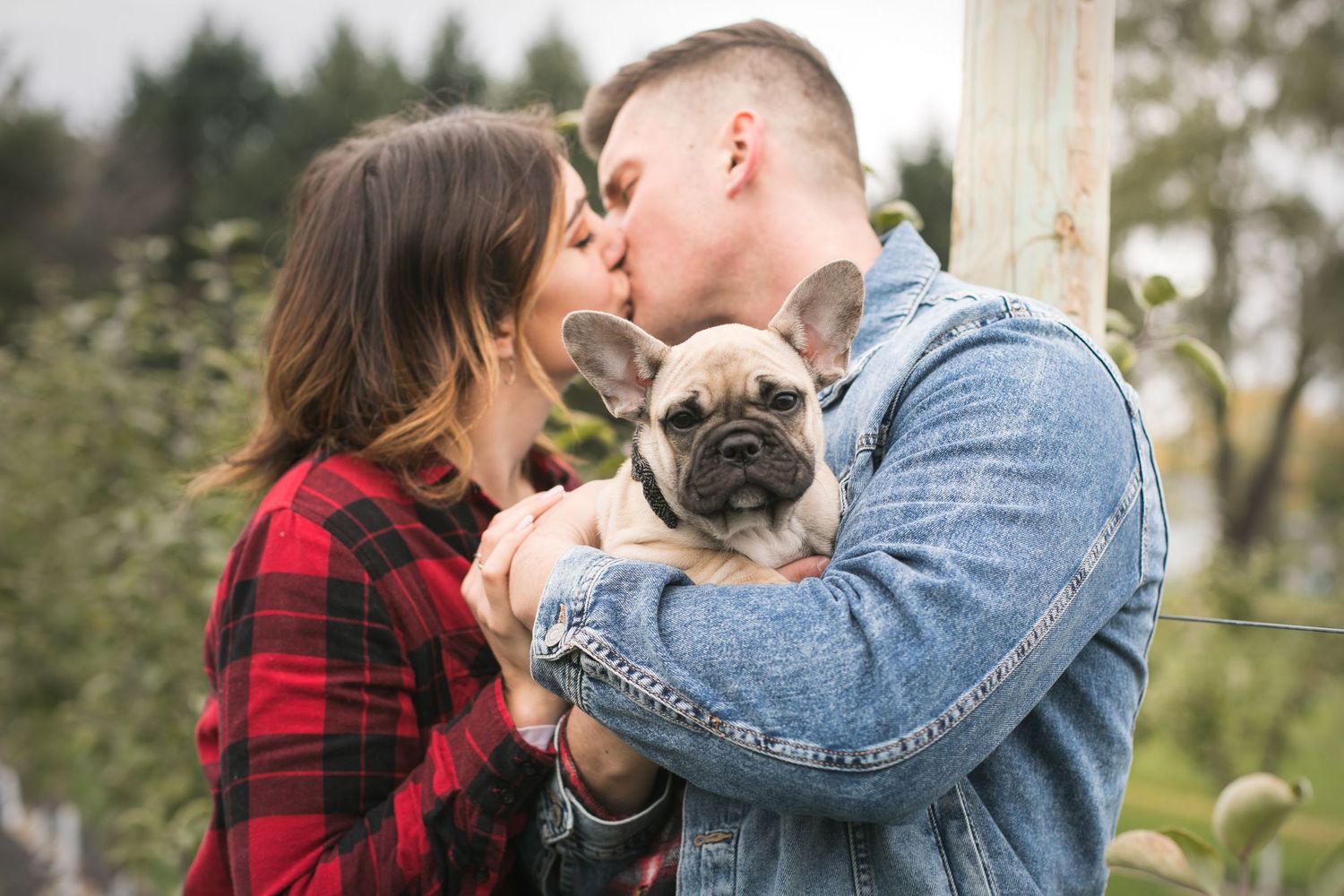 Dixon IL, Pet Photographer