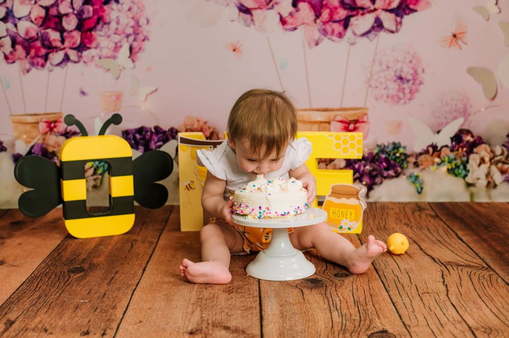One year cake smash Ashville, Ohio, Circleville, Ohio, Canal Winchester, Ohio , Lithopolis, Ohio Ashville OH photography