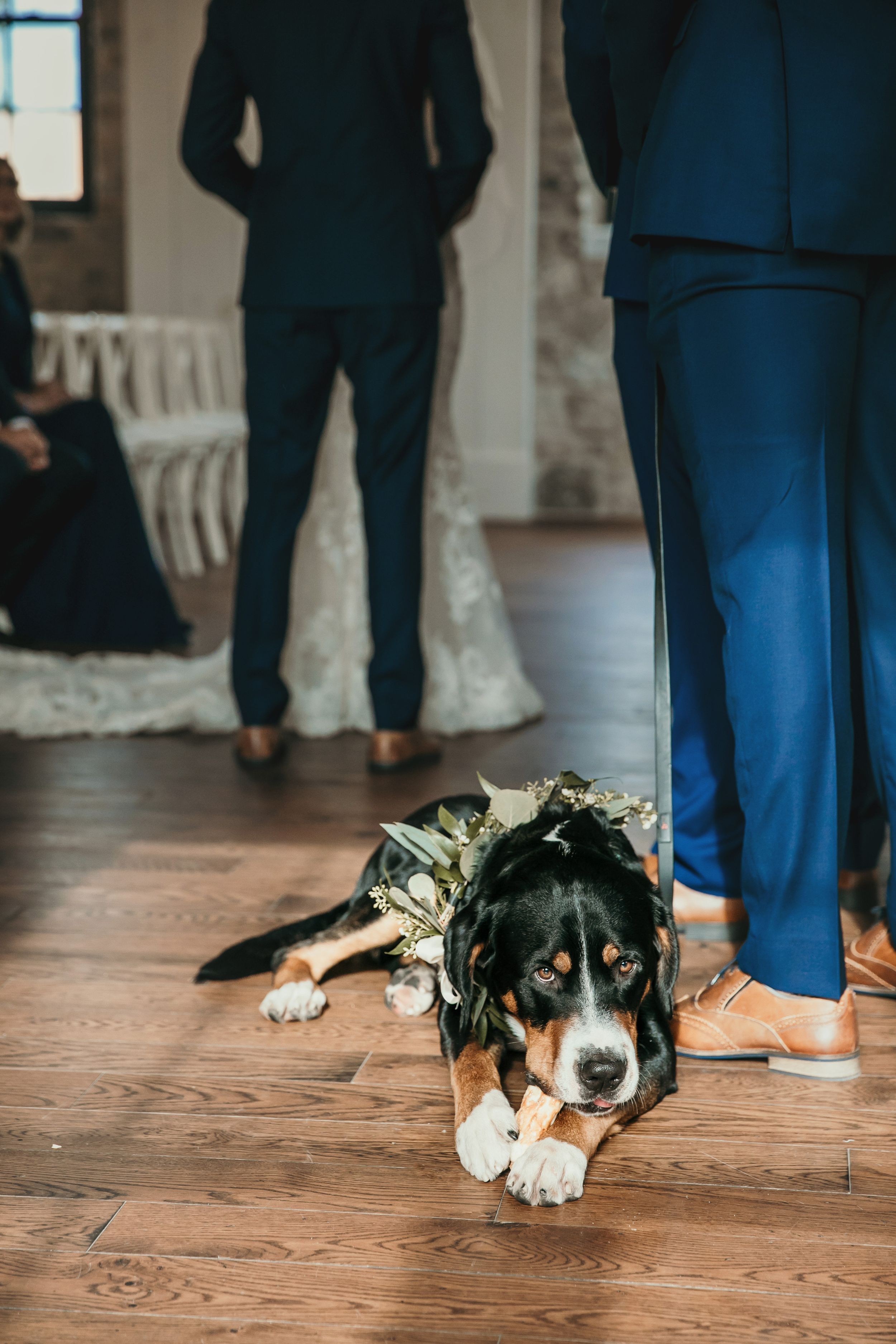 Elora Mill Wedding Photos The Foundry Ceremony
