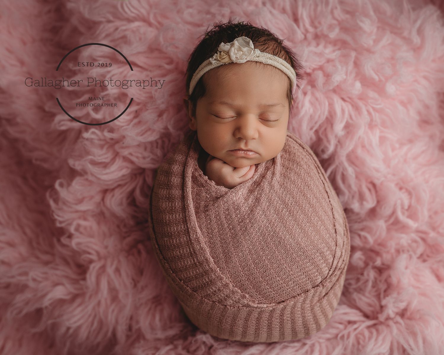 Professional newborn photo