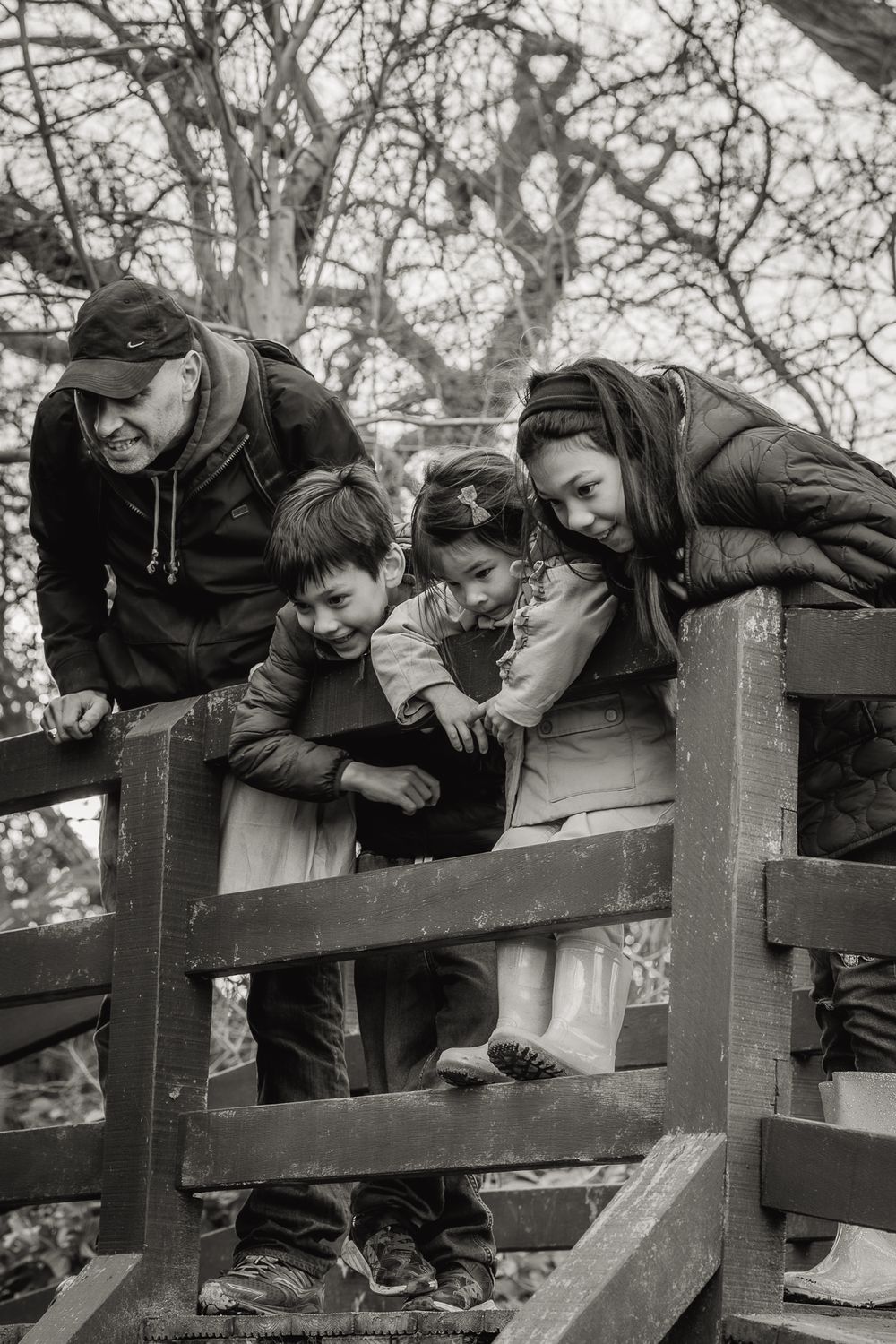 Father and children playing poo sticks in Aldenham Country park