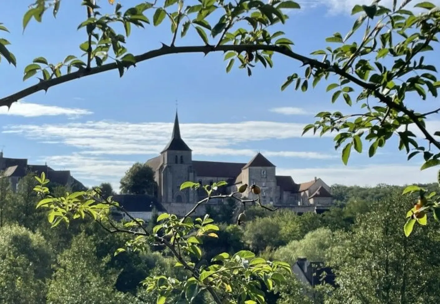 View through tree branches of a European village with church spire and stone buildings nestled in green landscape.