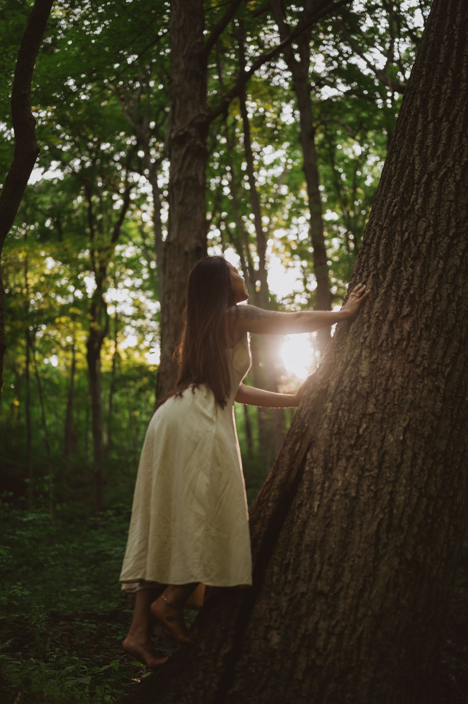 A person in a white dress walks through a sunlit forest creating a dreamy ethereal atmosphere in a 4-panel photo series.
