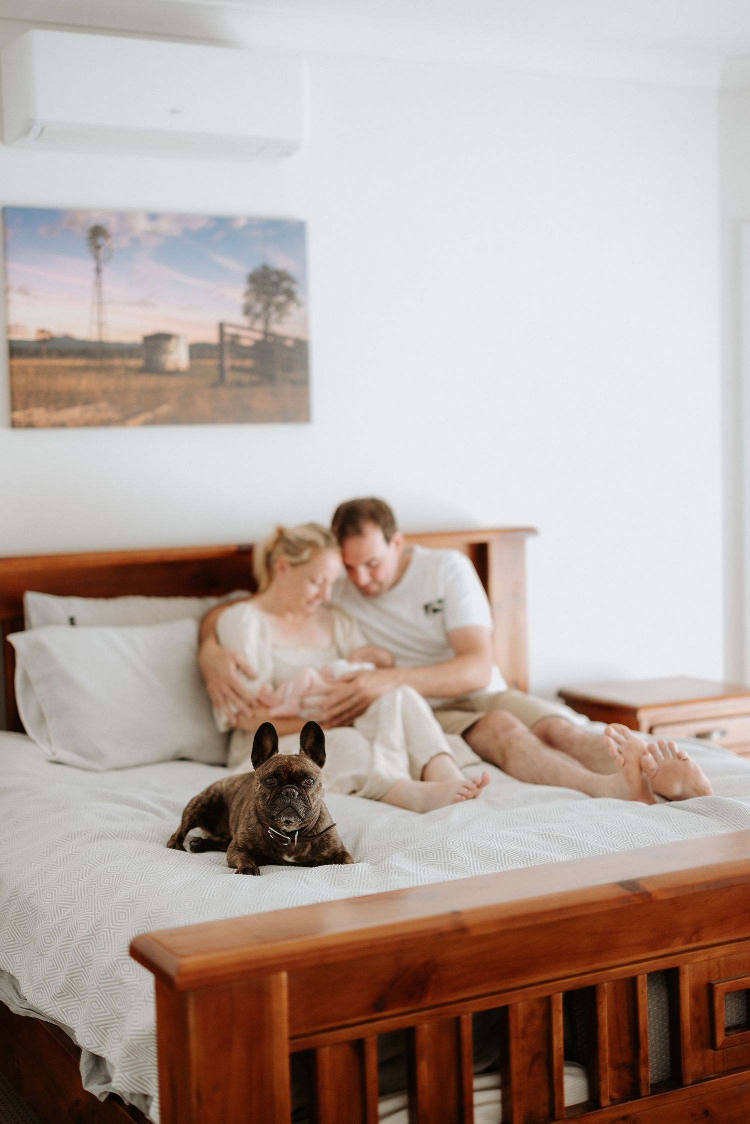 A French Bulldog lounges on a white bed while a couple relaxes in the background with a rustic landscape painting above.