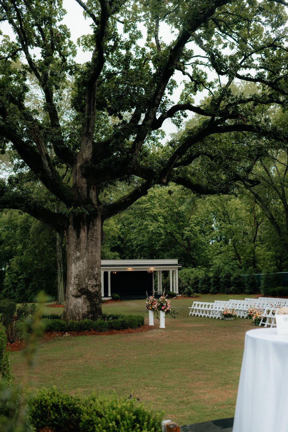 a view of a rainy wedding ceremony set up under a live oak in the backyard of the lumpkin house wedding venue, in albertville, alabama.
