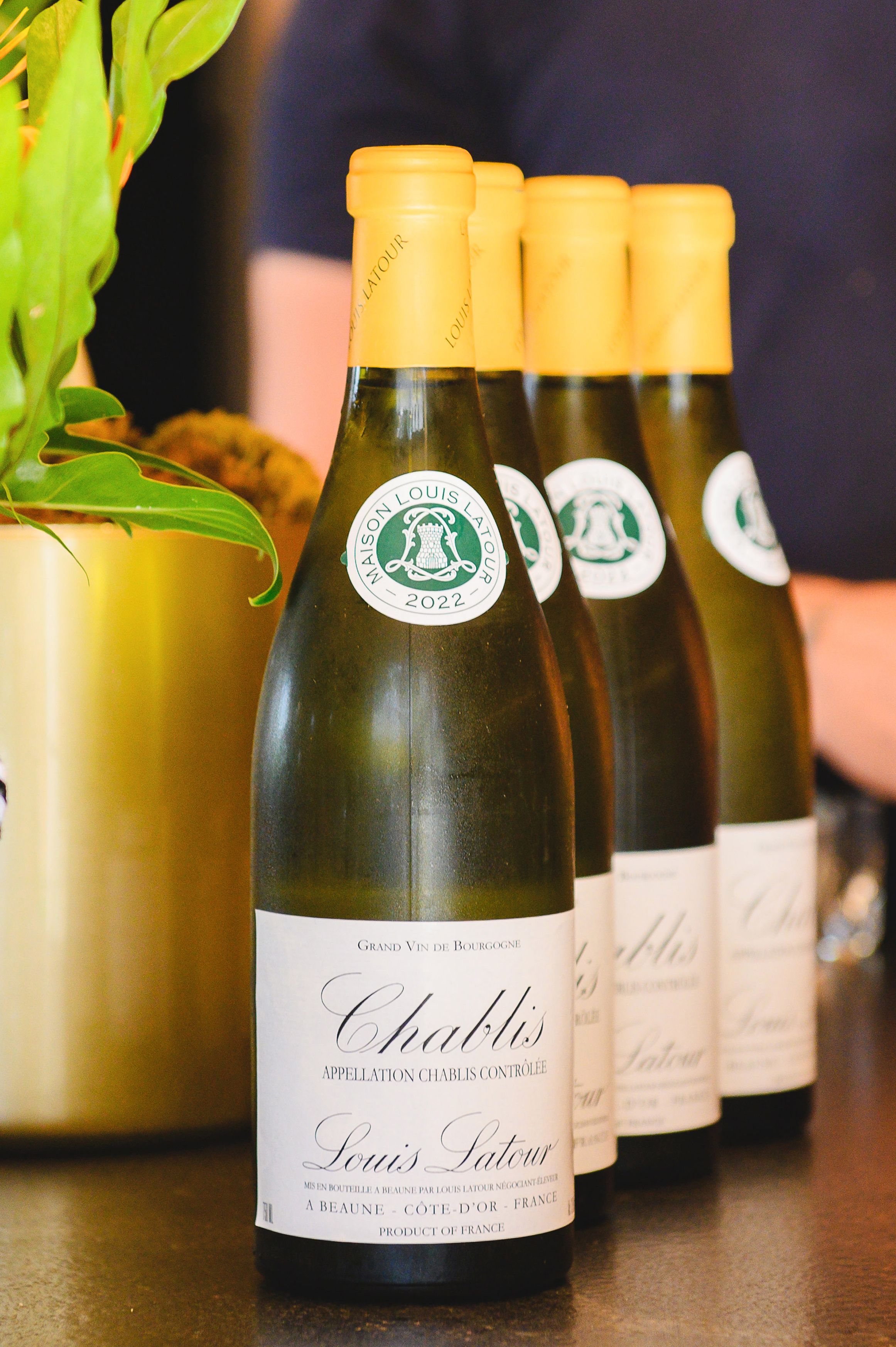 Four bottles of Louis Latour Chablis wine with yellow capsules displayed next to a gold planter.