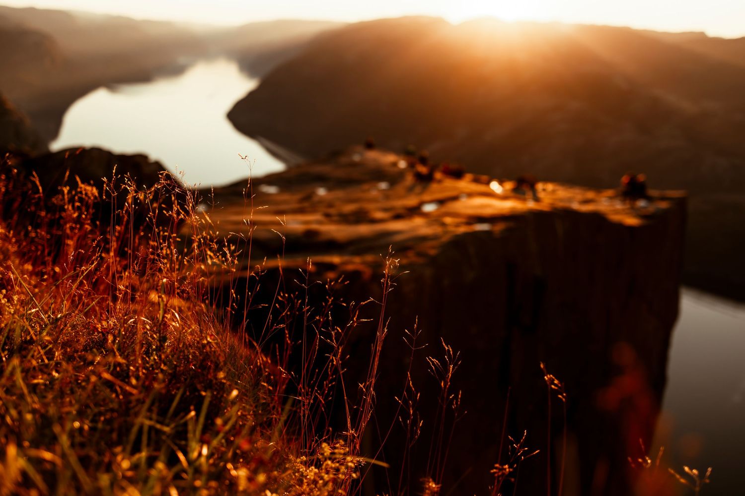 Golden sunlight illuminates wild grass on a mountainside overlooking a winding river valley at sunset. preikestolen ved soloppgangen