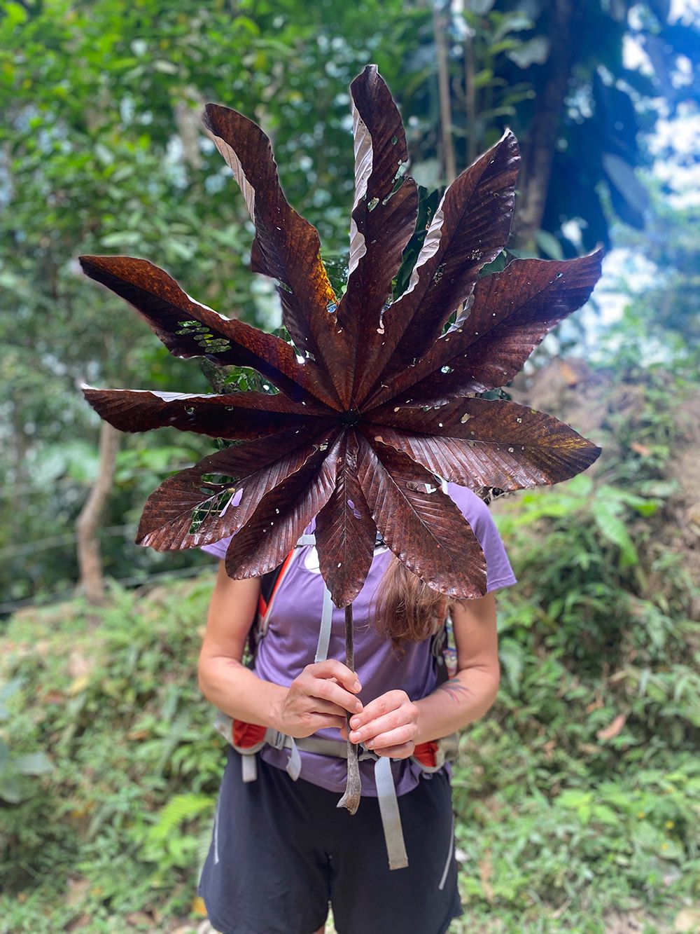 Huge leaf in front of a female face in Colombia