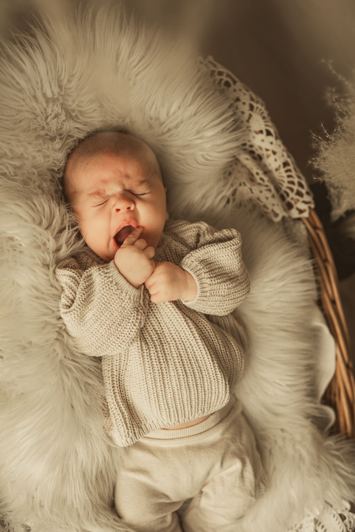 Sleeping newborn in cozy cream knit sweater lying on white furry blanket with dried pampas grass decoration.